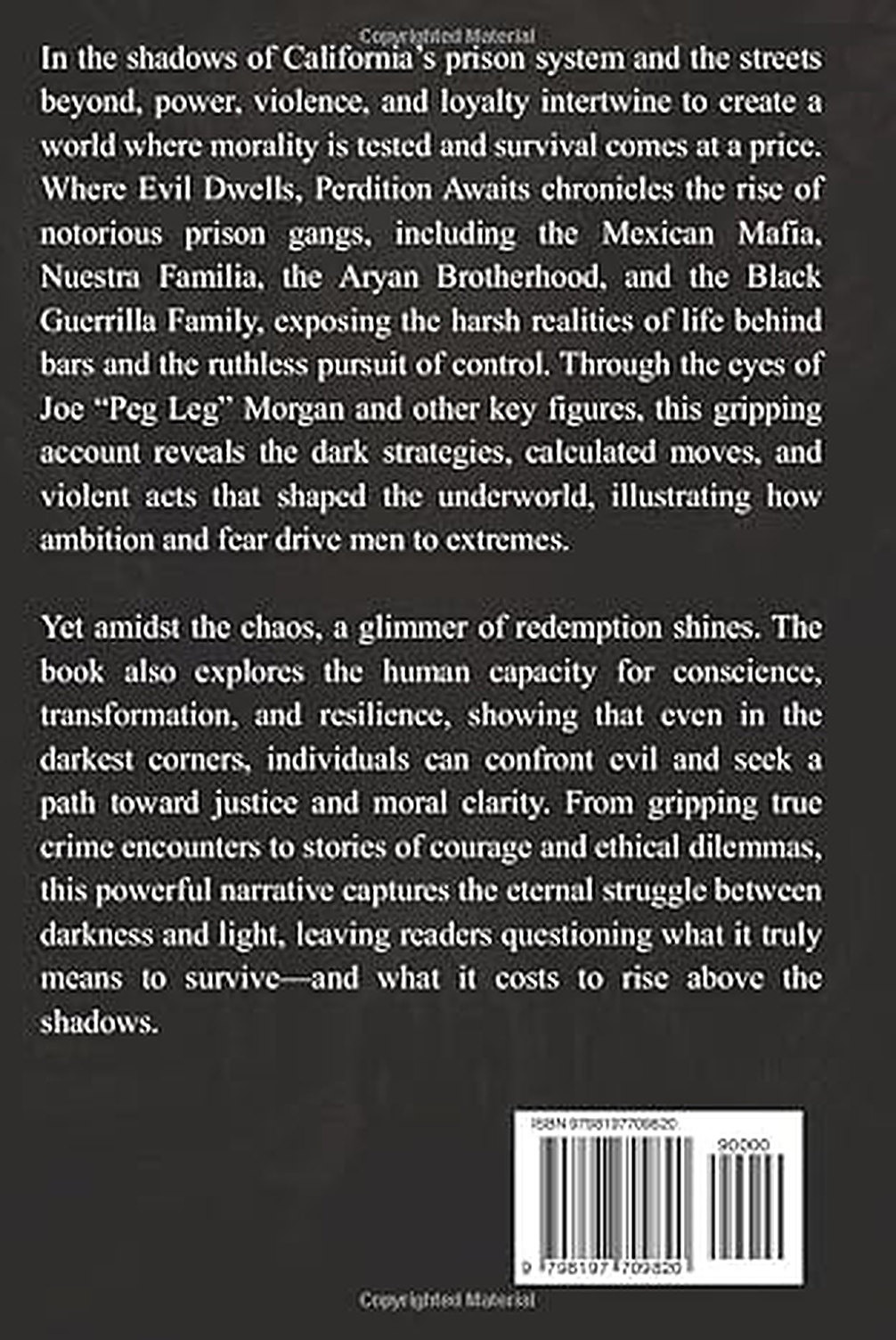 Back cover — Where Evil Dwells: Perdition Awaits by Robert B. Taylor